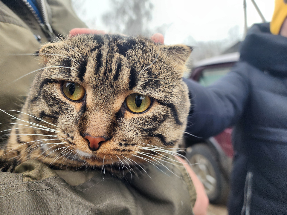 Когда и в каких селах Можайского округа будет работать выездная вакцинация от бешенства