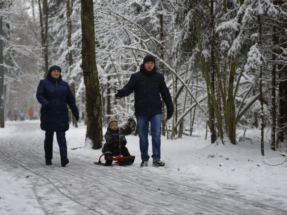 Когда в Московском регионе станет скользко и ветрено? Ответ Гидрометцентра