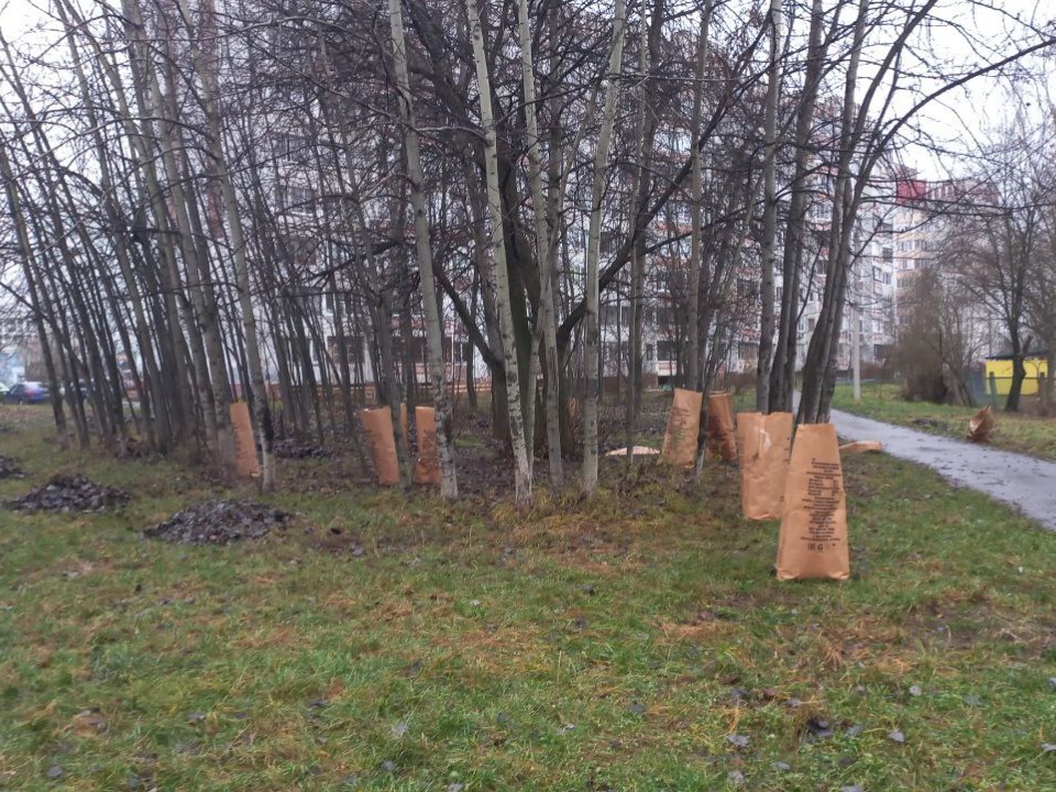 Осинник в Северном микрорайоне по просьбам жителей очистили от мусора