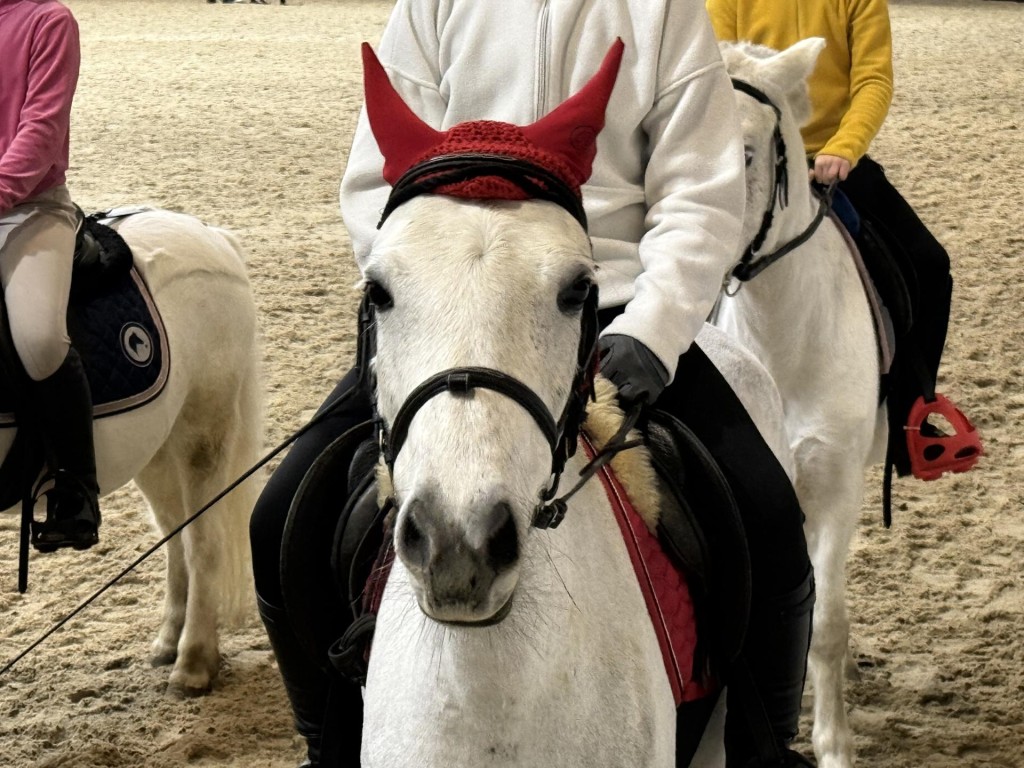 Какой сюрприз готовит котельниковская «Белка» маленьким жителям к Новому году?