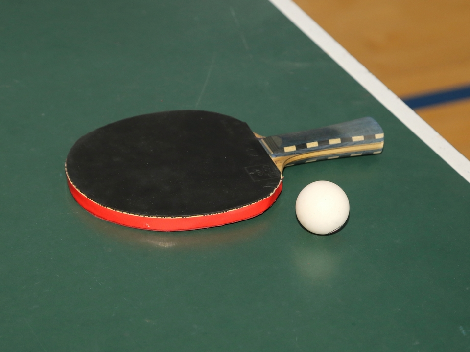 В Луховицах среди работников предприятий устроят соревнования по настольному теннису