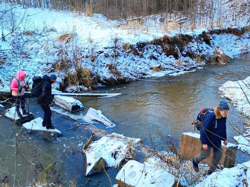 Краеведческий поход в долину Вяземки прошел в Одинцовском округе