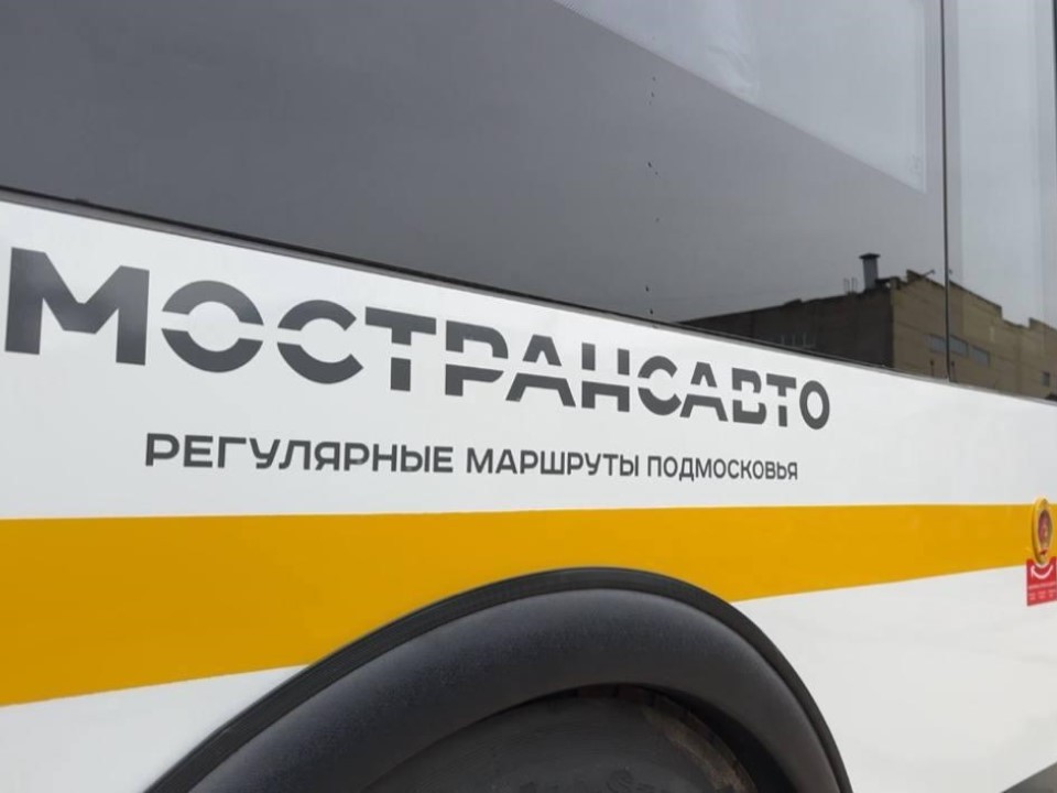 В Одинцове открылись елочные базары: схемы проезда и правила перевозки деревьев