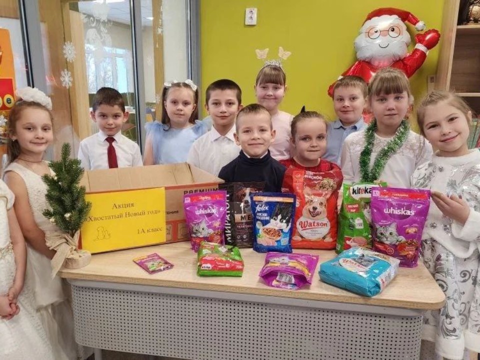 Новогодние подарки от шаховских ребят получили пушистые бродяги