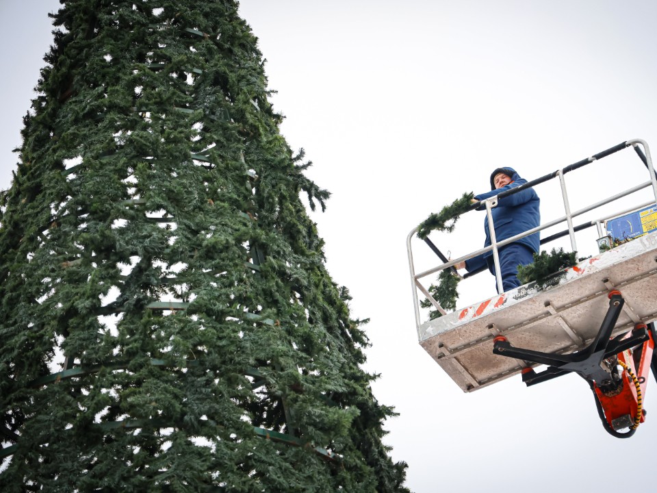 В Солнечногорске вырастет 15-метровая новогодняя елка на Советской площади