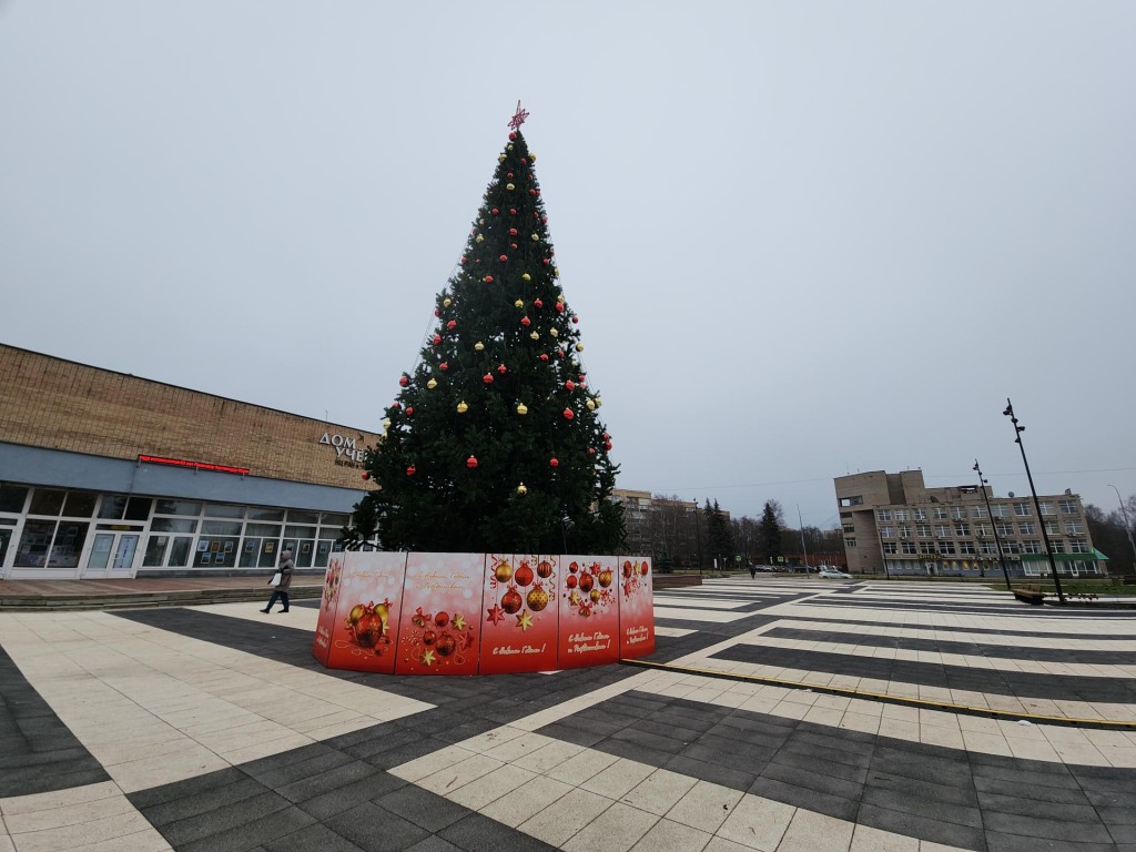 Новогодние елки появились в трех точках Черноголовки