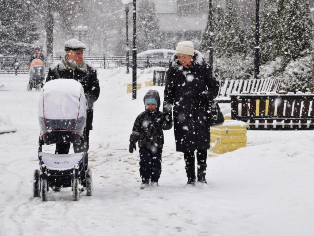 Снегопад и до -10? В Подмосковье на Новый год спрогнозировали зимнюю сказку