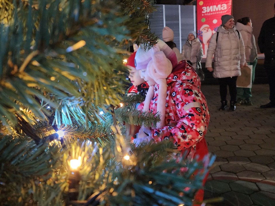 Солнечногорцев зовут за мандаринами: в Соколово проведут квест для всей семьи