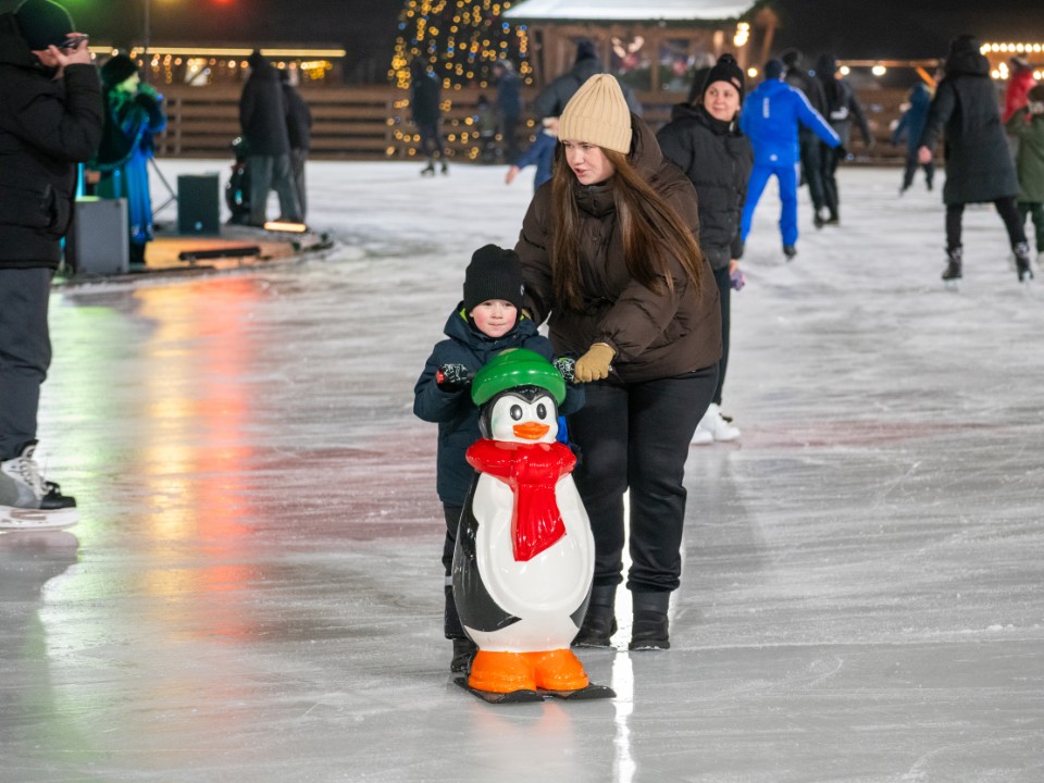 Зима в движении: где в Солнечногорске покататься на лыжах и коньках