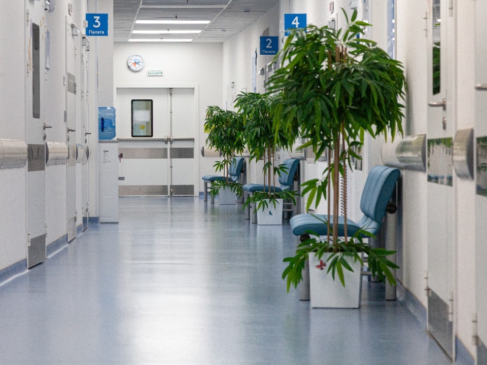 Пустующий детсад «Гномик» в Ивантеевке станет новым центром помощи семьям