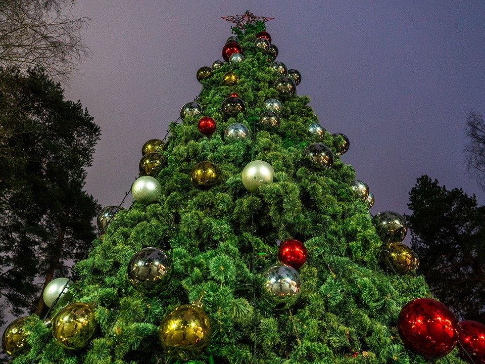 Гринч остался без работы: в Орехово-Зуеве городскую елку охраняет «умная система»
