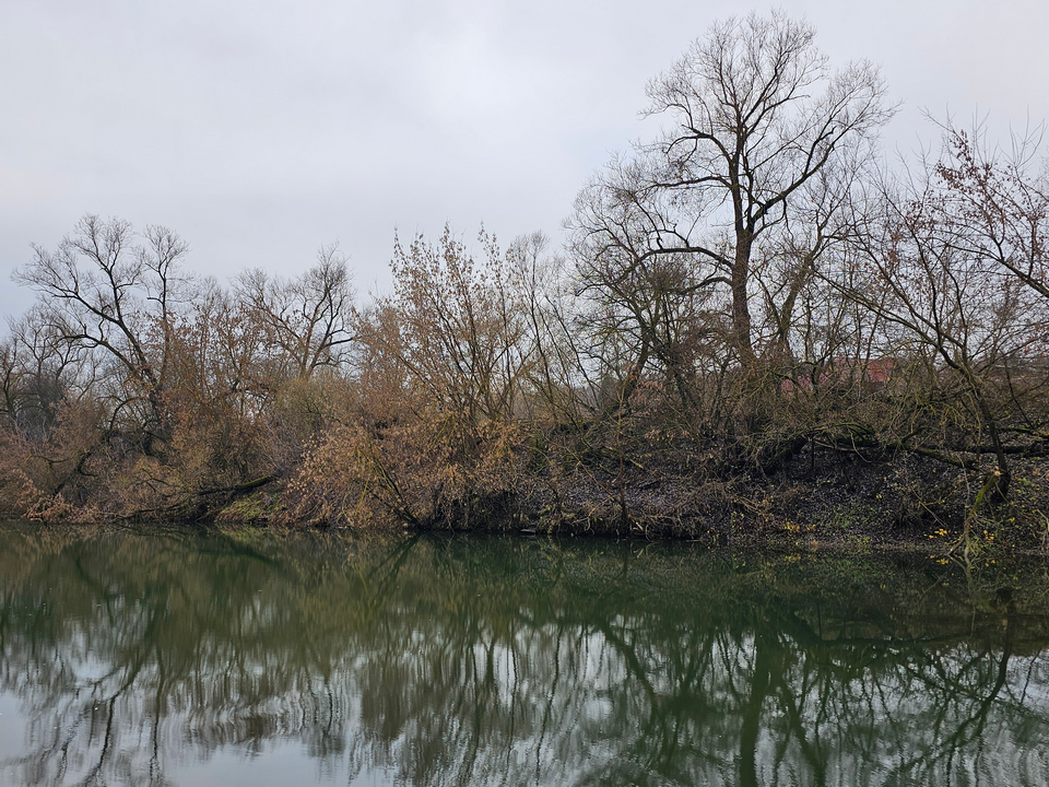 Жители Луховиц еще могут выбрать водоем для санитарной очистки в 2026 году