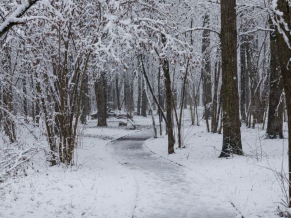 От +6°С до -7°С: как изменится погода в Подмосковье на предстоящей неделе