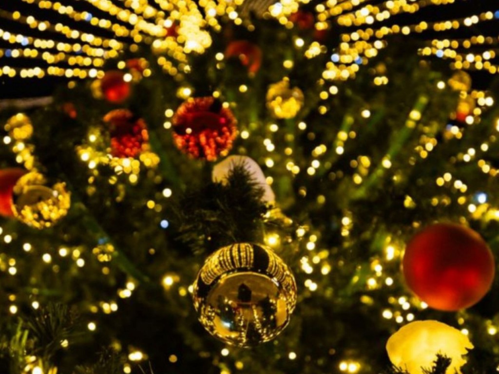 Сияние Запрудни: 1000 огней и магия новогоднего чуда — поселок готов к встрече самого волшебного праздника