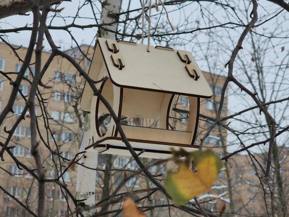 Специальные программы: в школах Подольска появятся профильные классы для будущих лесников