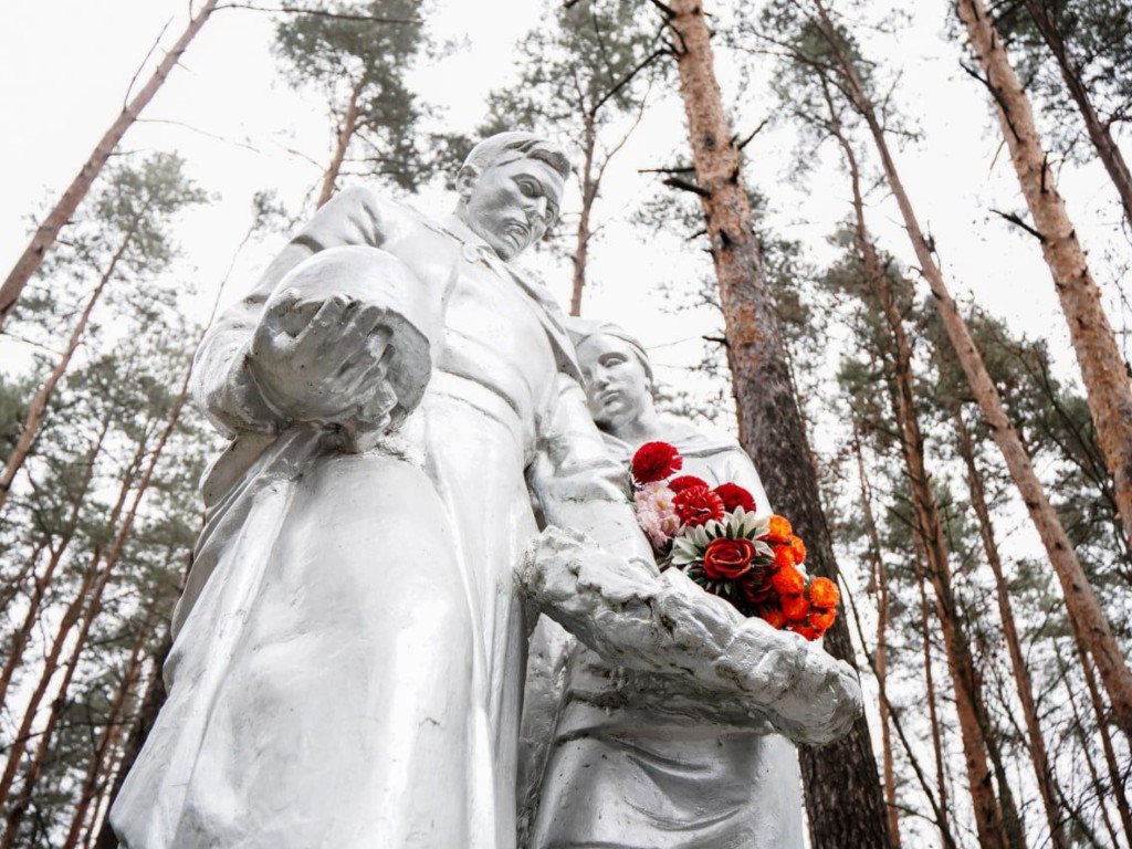 «Имя твое неизвестно, подвиг твой бессмертен»: Шатура почтила память Неизвестного Солдата