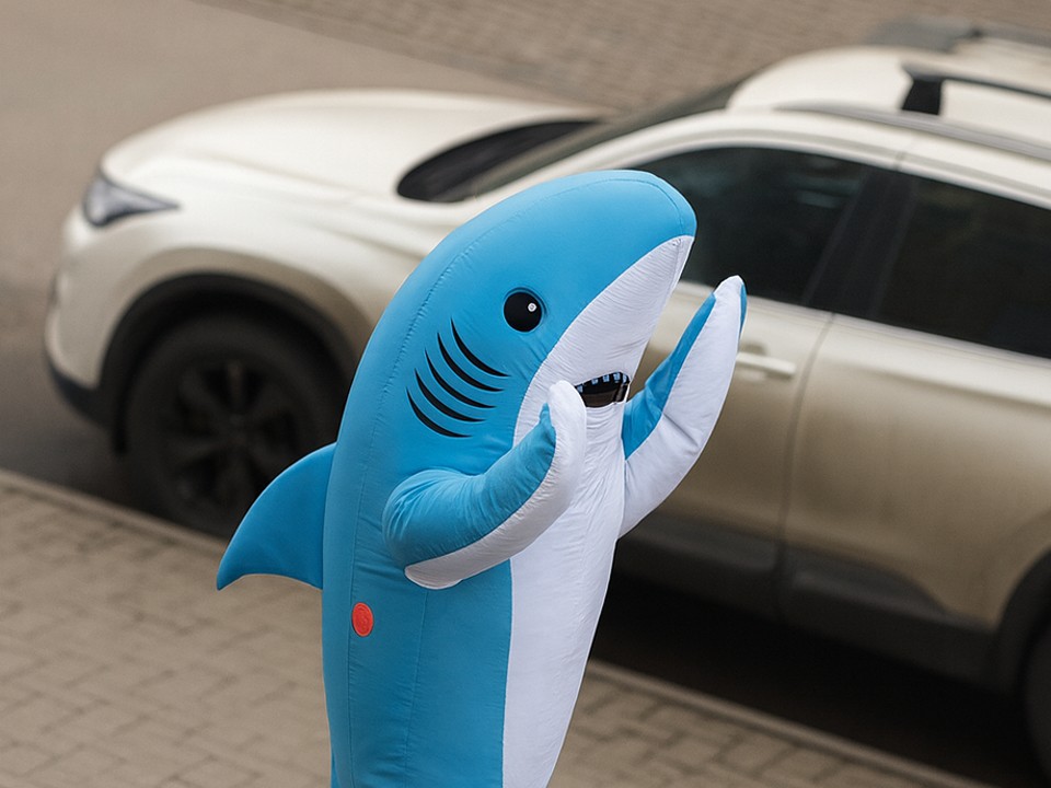 Большой спинной плавник и …кеды: двухметровую акулу заметили в Балашихе