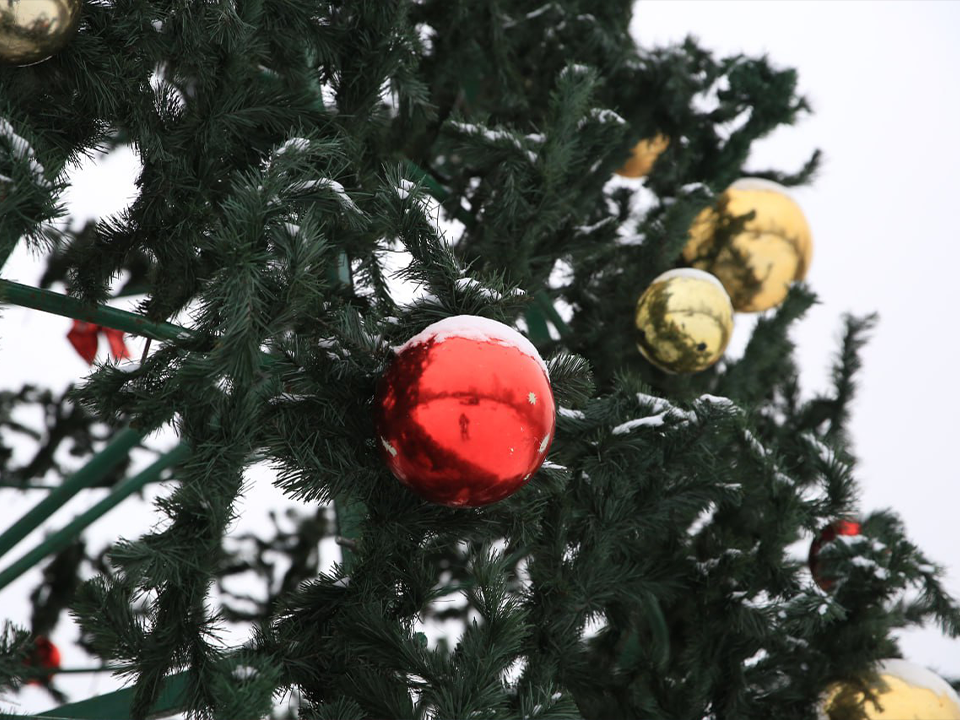 Главная елка Долгопрудного может стать одной из лучших в России