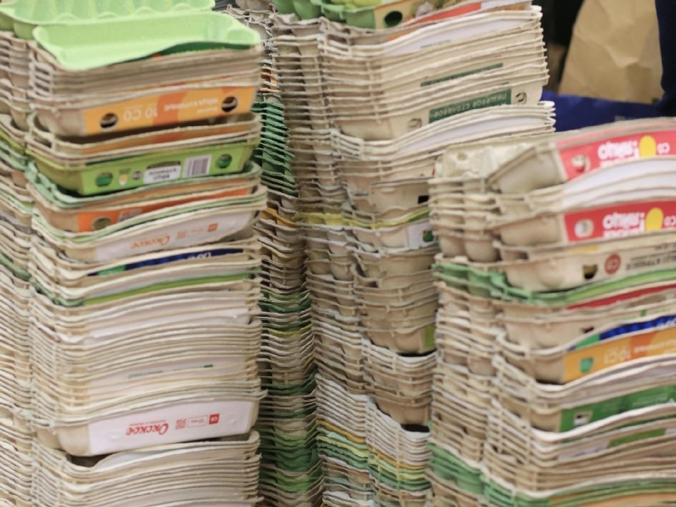 Переработка с выгодой: как сдать мусор и получить бонусы 6 декабря в Одинцове