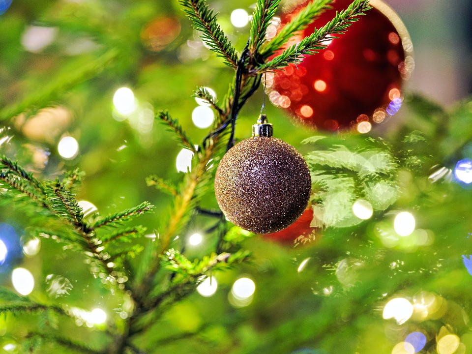 Купить и не засушить: три правила ухода, которые спасут новогодние хвойные ветки от быстрой гибели