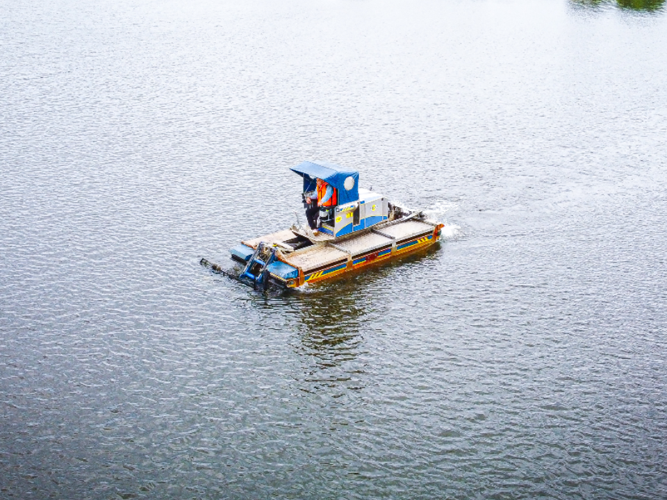 Озеро Большое ждет масштабная расчистка благодаря активности фрязинцев