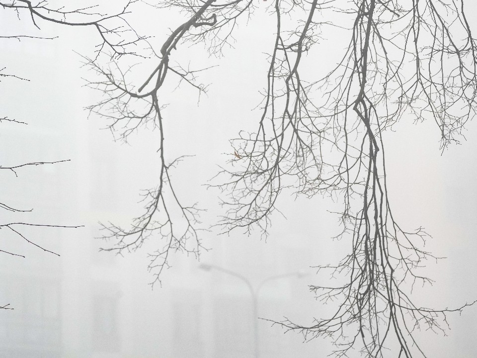 Опасный туман подкрался к Истре: пешеходам советуют «светиться в темноте»