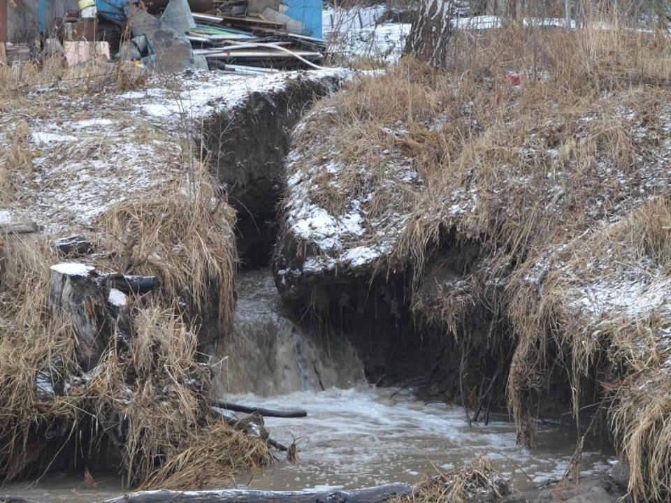 Необычная проверка в Красково: как жители могут помочь сохранить ручей в целости