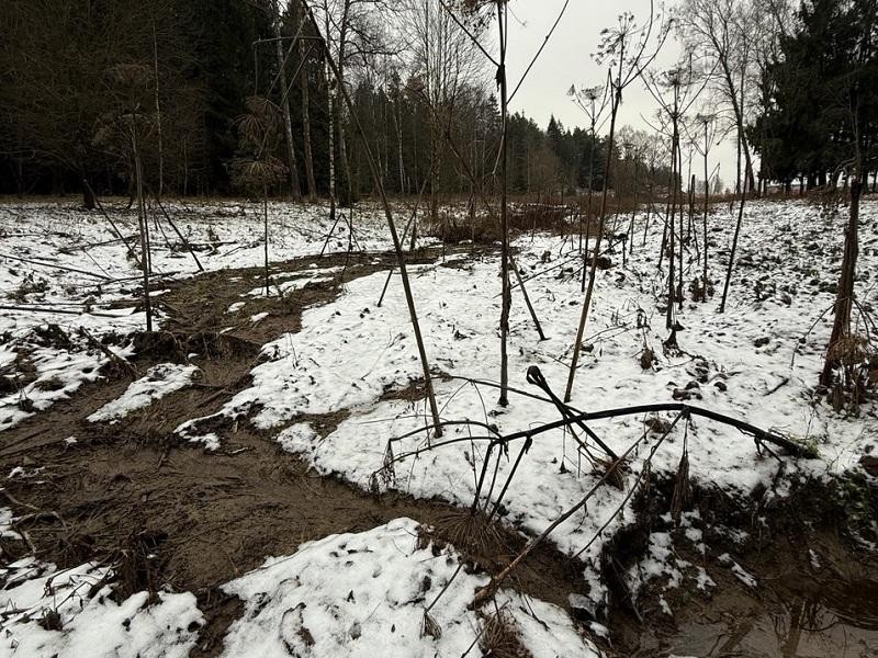 Воды текут не туда: эконадзор выявил сброс на участке гольф-курорта и объявил владельцам земли официальное предостережение