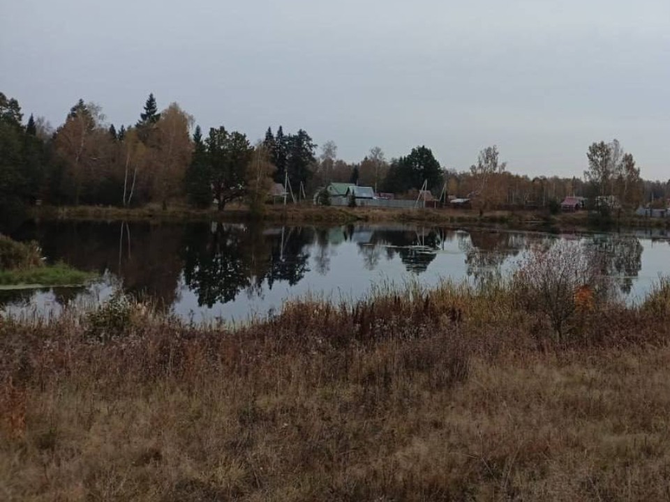 Пруд в Русаках приведут в порядок в 2026 году