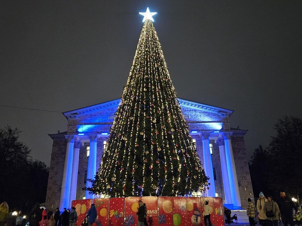 Главная елка загорелась: в Жуковском открыли зимний сезон