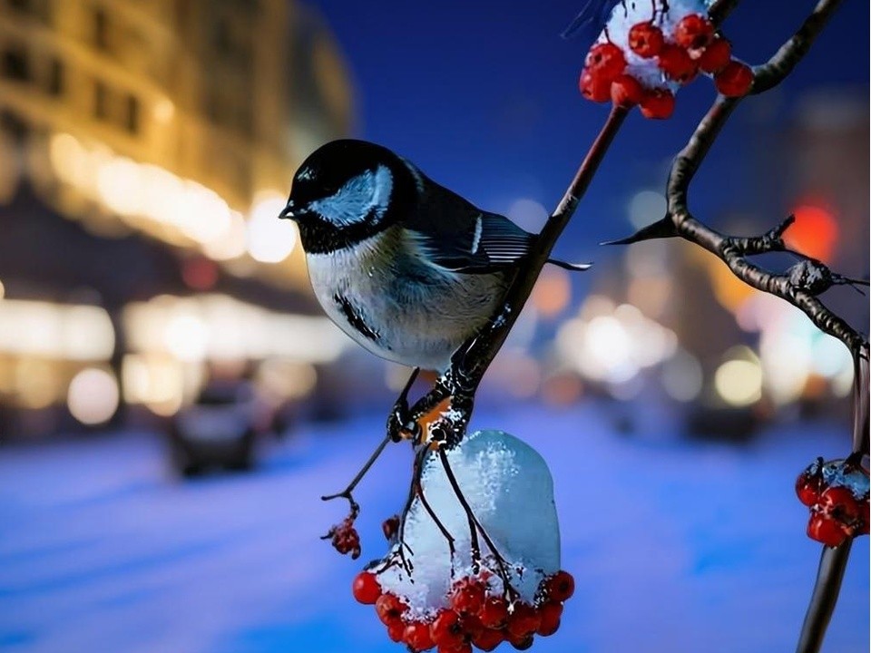 Нейросеть оживила Черноголовку к Новому году: ролик местного жителя вызвал жаркие споры