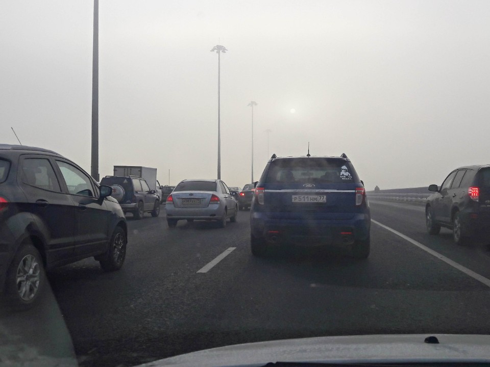 Синоптики предупредили, что в Подмосковье 2 декабря ожидается туман