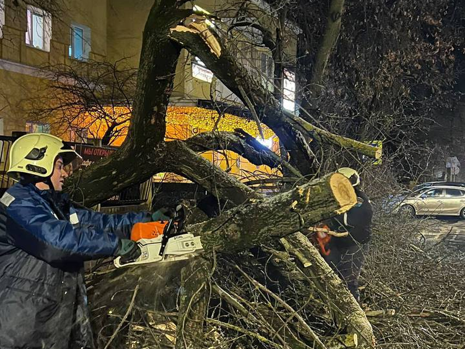 Жуковские спасатели убрали поваленные деревья на Энергетической и Дзержинского