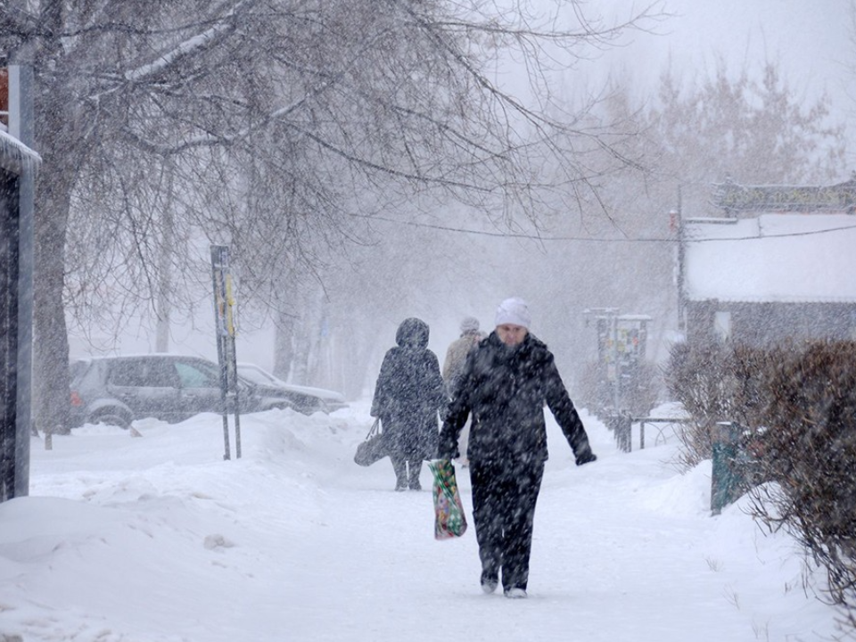 Синоптики рассказали о пике морозов и последующей оттепели в Подмосковье