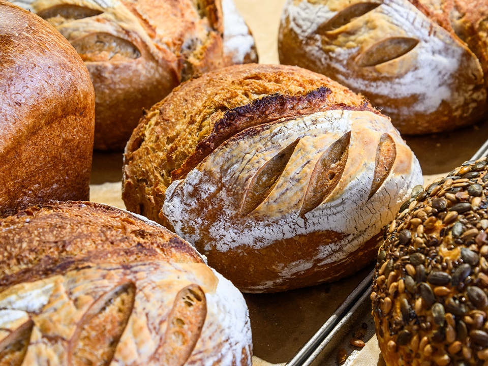 Глава Люберец спешит с выпечкой к президенту: как телефонный звонок владельцев пекарни изменил их день