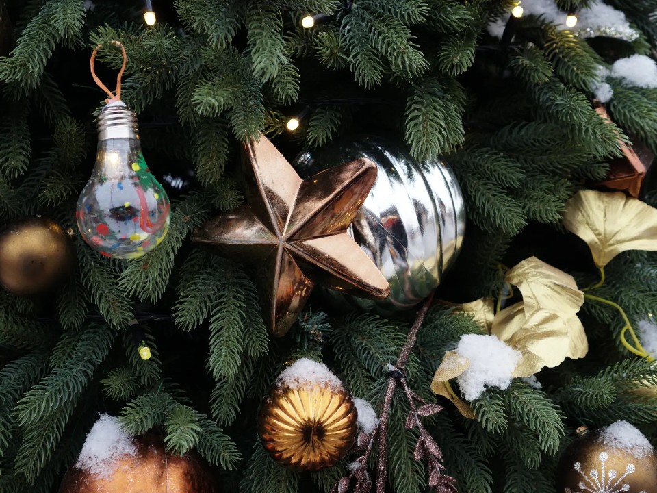 Возможность подарить мечту: благотворительная акция «Елка добра» началась на МЖД