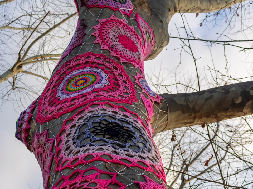 Лыткаринский фэшн: жители округа «приодели» деревья к Новому году