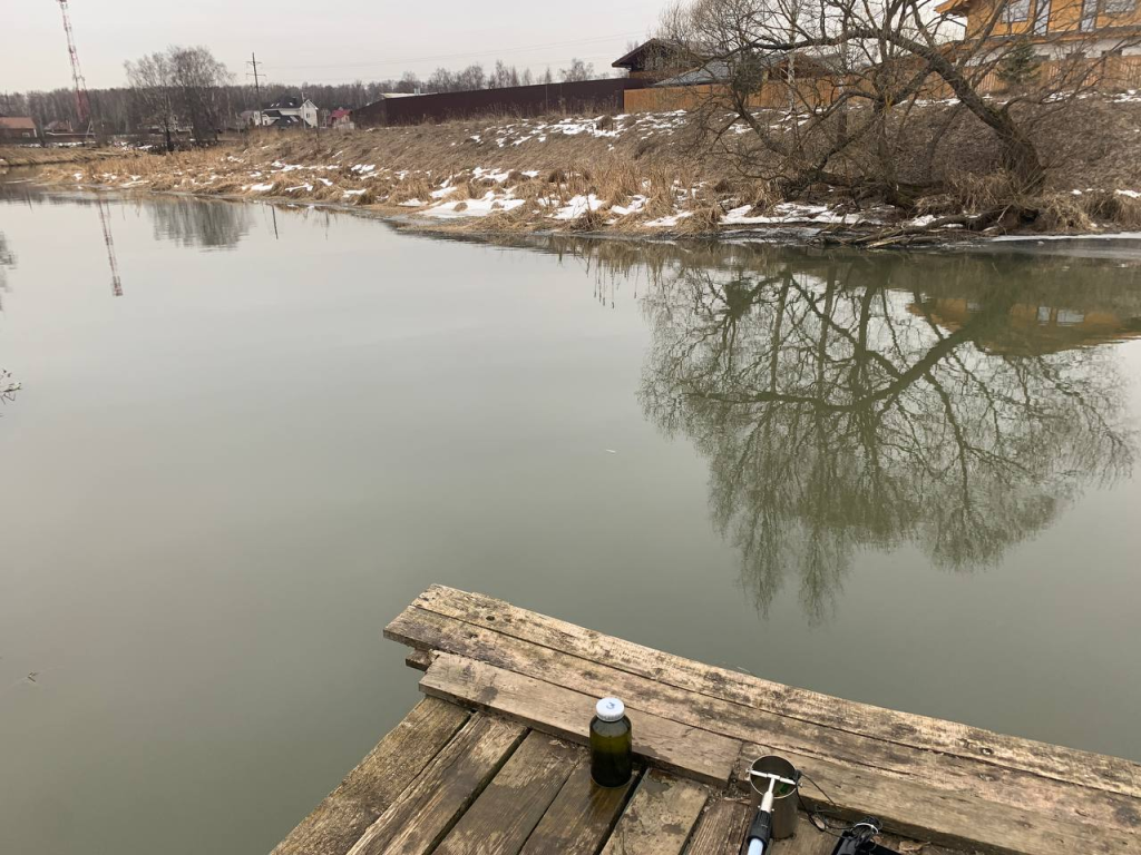 Не тот берег выбрали: почему пирс и забор в деревне Коптелино могут отправиться под снос