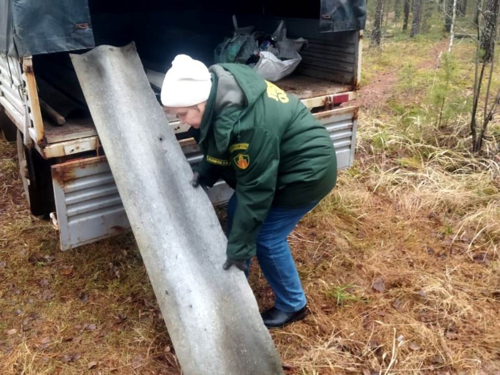 Более кубометра строительного мусора вывезли лесничие из Мещерского леса