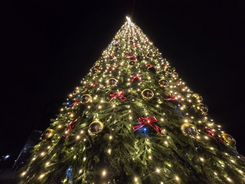 Золотые шары, красные банты и сияющая подсветка: на Октябрьской площади представили главный новогодний символ