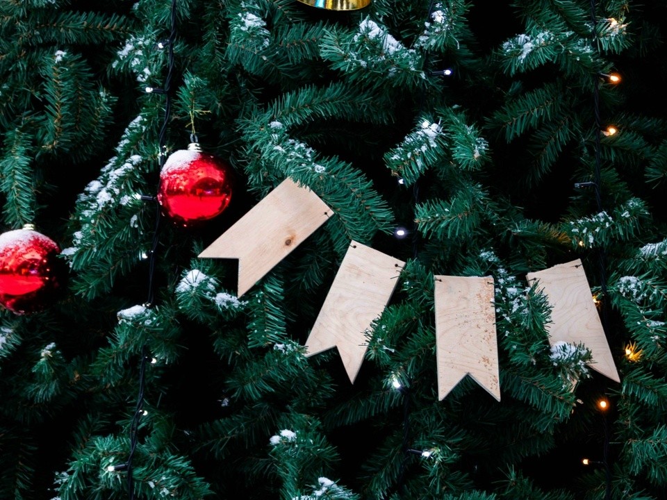 Топ-5 мест для зимней фотосессии в Домодедове