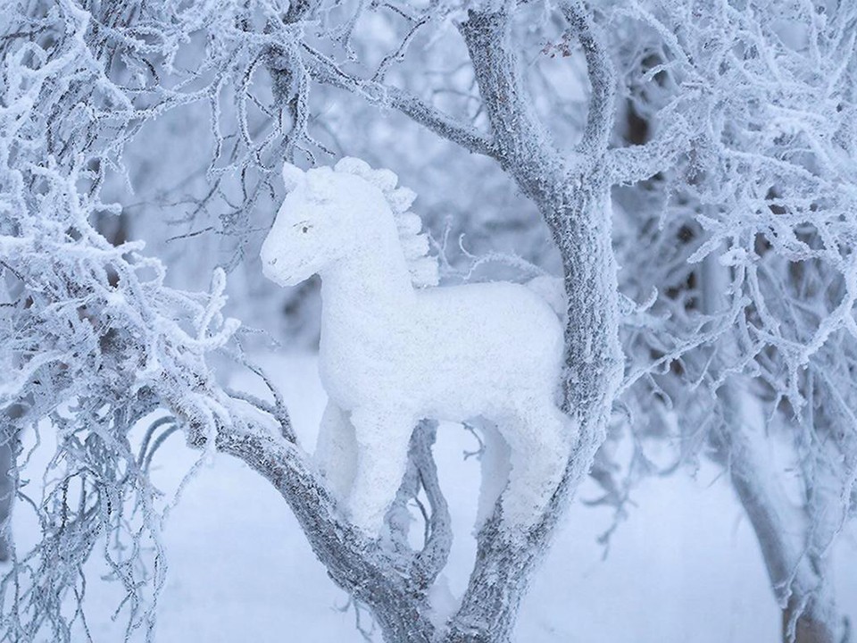 Лошадь «запрыгнула» на дерево в Балашихе: снимки символа года завирусились в соцсетях