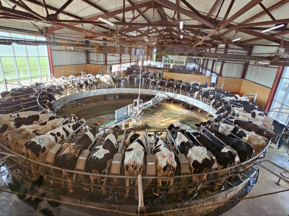 Искусственный интеллект используют в работе озерские аграрии