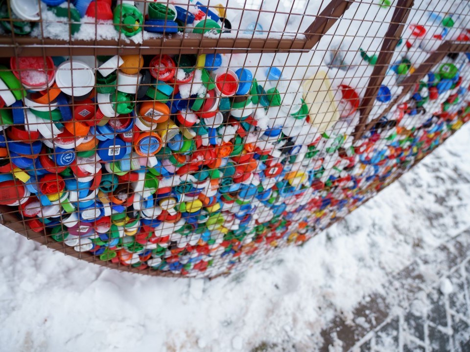 Для людей и для зверят: что можно принести на экоакцию — от пластика до собачьих игрушек