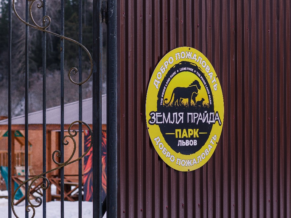 Новые апартаменты строят для леопардов и цирковых львов в клинском приюте