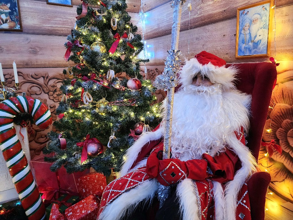 Дед Мороз и горячий чай: в Лотошинском парке зажгли огни на елке и начали зимний сезон