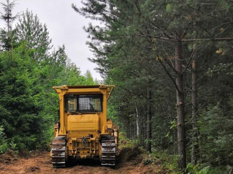 Леса Подмосковья исполосовали: почему отдыхающим не придется спасаться бегством от огня в зеленых массивах