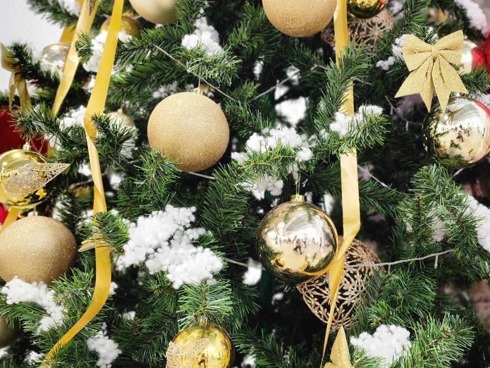 Праздник «Елочка, елка — лесной аромат» провели в городской библиотеке