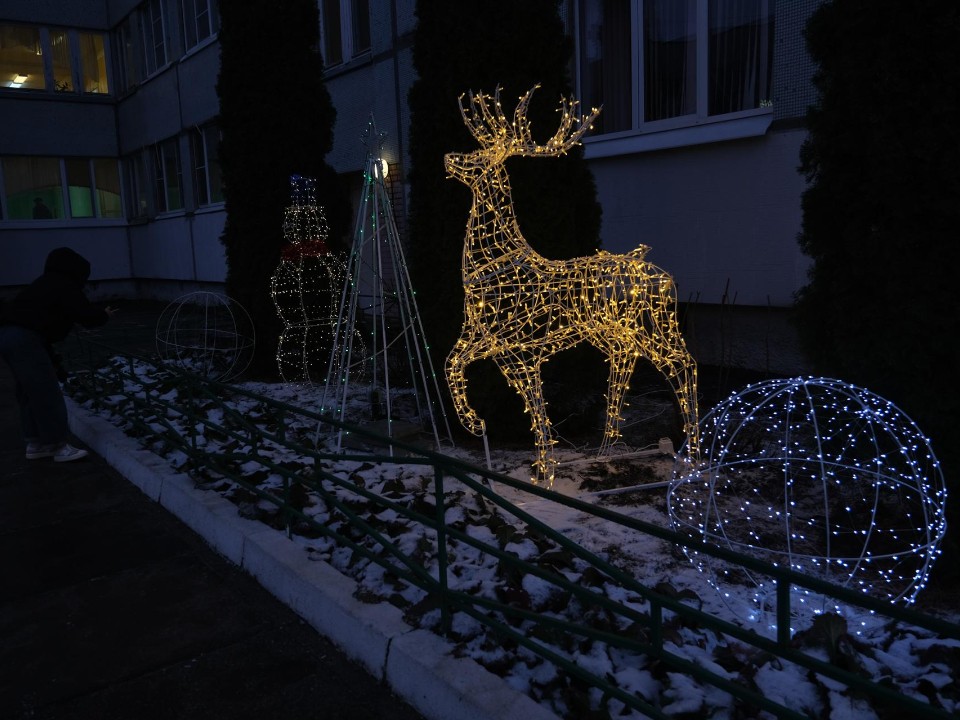 Новогоднее чудо у входа в гимназию: детям Дубны подарили светящуюся сказку