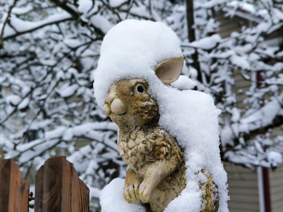 Морозы до −18°C и аномальное давление: какой будет погода в Москве и Подмосковье после Нового года